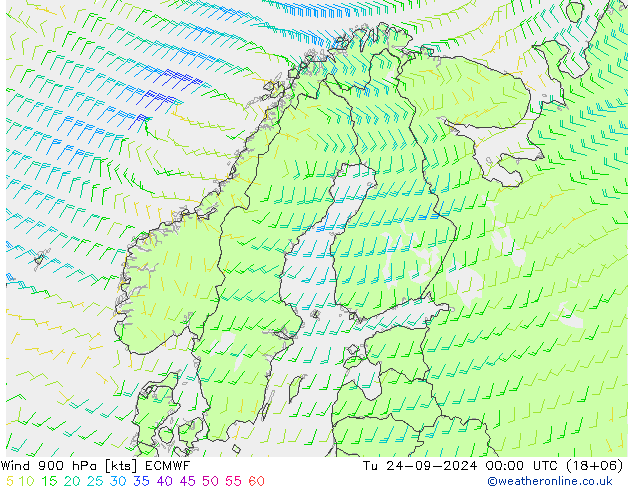 wiatr 900 hPa ECMWF wto. 24.09.2024 00 UTC