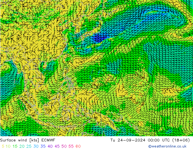 Surface wind ECMWF Út 24.09.2024 00 UTC