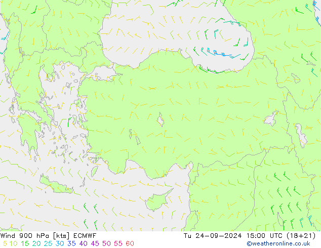  900 hPa ECMWF  24.09.2024 15 UTC