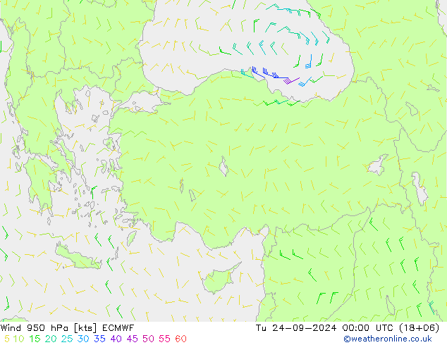 Wind 950 hPa ECMWF Tu 24.09.2024 00 UTC