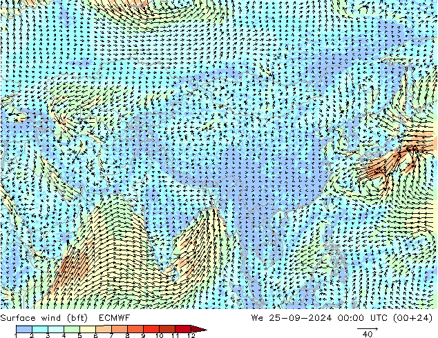 ве�Bе�@ 10 m (bft) ECMWF ср 25.09.2024 00 UTC