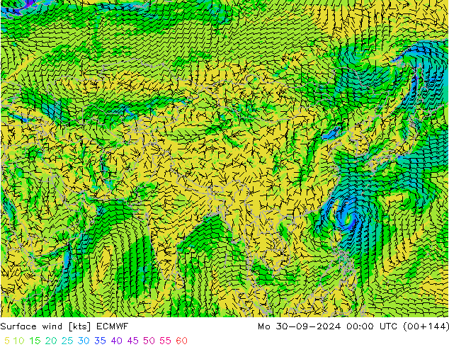 Surface wind ECMWF Mo 30.09.2024 00 UTC