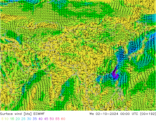 Bodenwind ECMWF Mi 02.10.2024 00 UTC