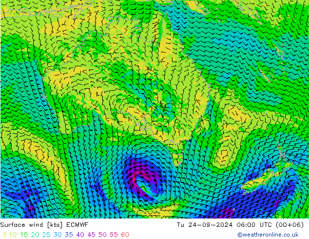 Wind 10 m ECMWF di 24.09.2024 06 UTC