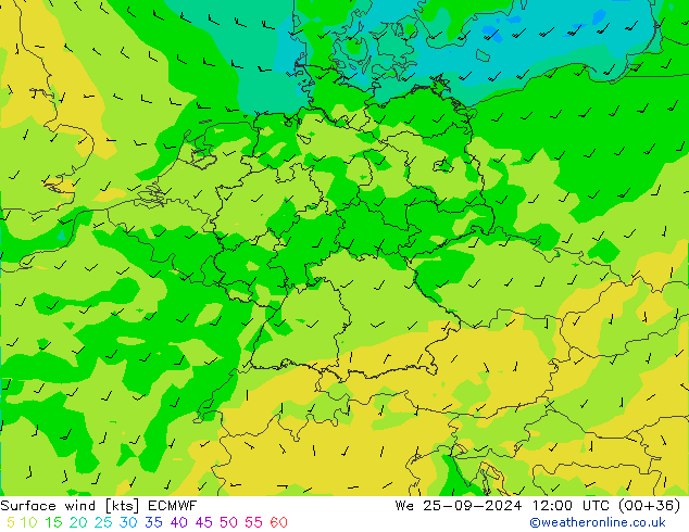  10 m ECMWF  25.09.2024 12 UTC