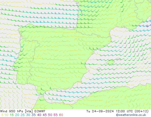 Rüzgar 950 hPa ECMWF Sa 24.09.2024 12 UTC