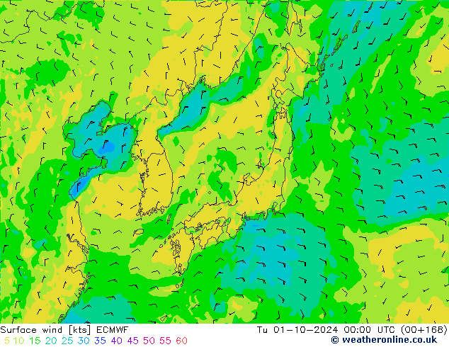 ветер 10 m ECMWF вт 01.10.2024 00 UTC