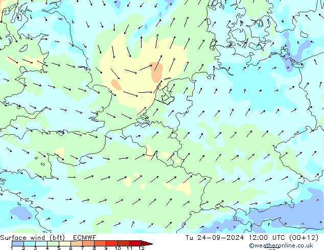 Bodenwind (bft) ECMWF Di 24.09.2024 12 UTC