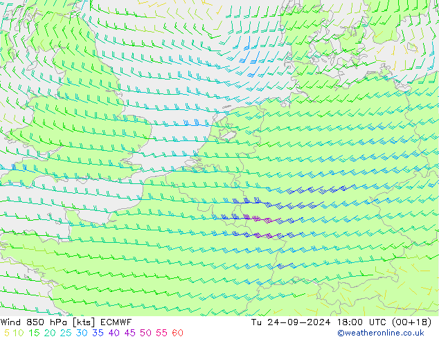 wiatr 850 hPa ECMWF wto. 24.09.2024 18 UTC