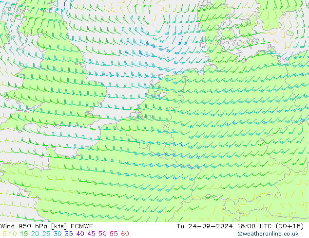 wiatr 950 hPa ECMWF wto. 24.09.2024 18 UTC