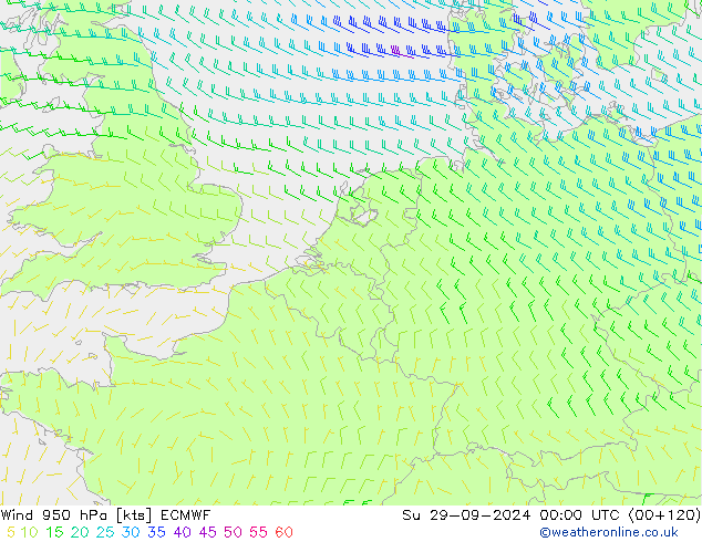 ветер 950 гПа ECMWF Вс 29.09.2024 00 UTC