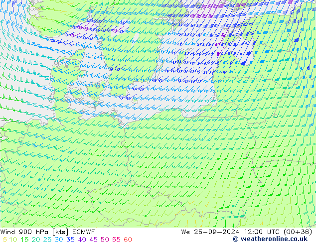 Wind 900 hPa ECMWF We 25.09.2024 12 UTC