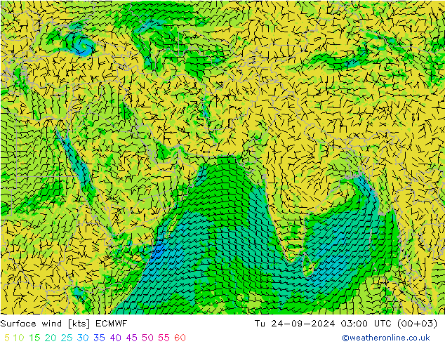 Surface wind ECMWF Tu 24.09.2024 03 UTC