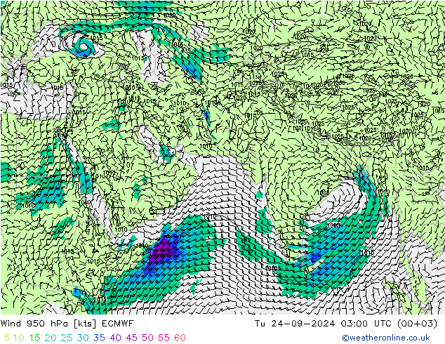  950 hPa ECMWF  24.09.2024 03 UTC