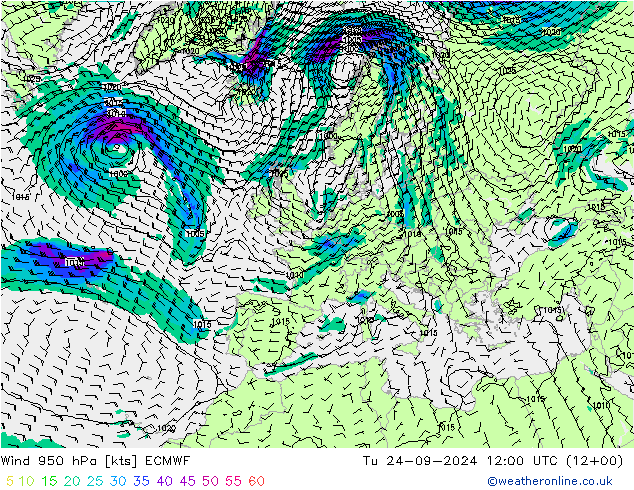  950 hPa ECMWF  24.09.2024 12 UTC