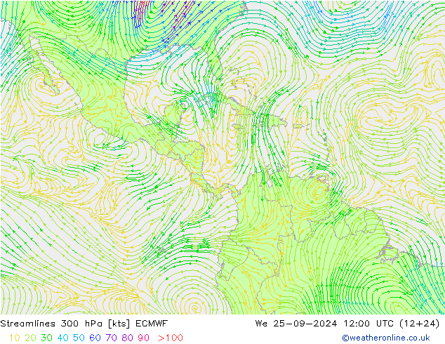 Streamlines 300 hPa ECMWF We 25.09.2024 12 UTC