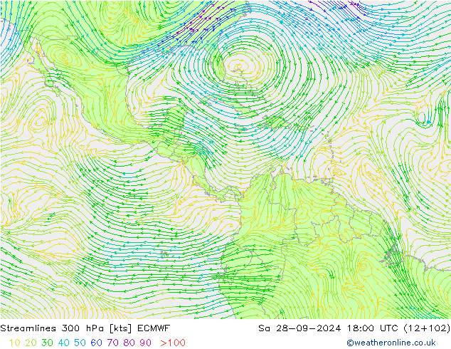 Streamlines 300 hPa ECMWF Sa 28.09.2024 18 UTC