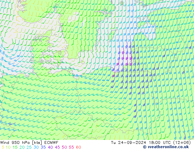 Rüzgar 950 hPa ECMWF Sa 24.09.2024 18 UTC