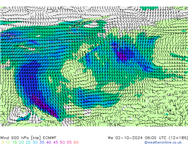 ветер 900 гПа ECMWF ср 02.10.2024 06 UTC