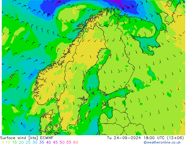 ветер 10 m ECMWF вт 24.09.2024 18 UTC