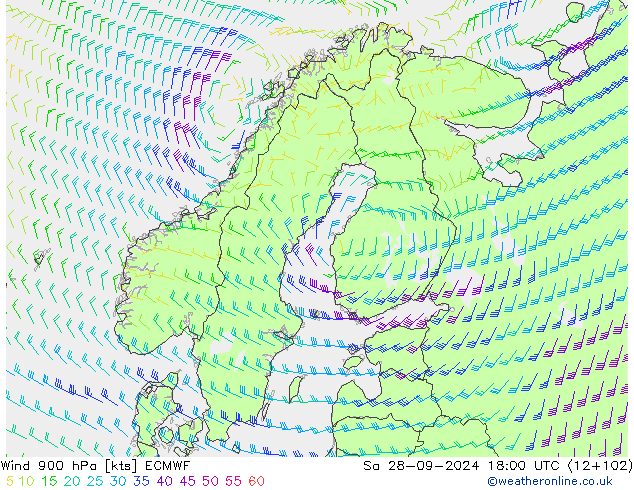 Wind 900 hPa ECMWF Sa 28.09.2024 18 UTC