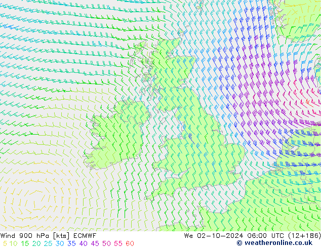 ветер 900 гПа ECMWF ср 02.10.2024 06 UTC