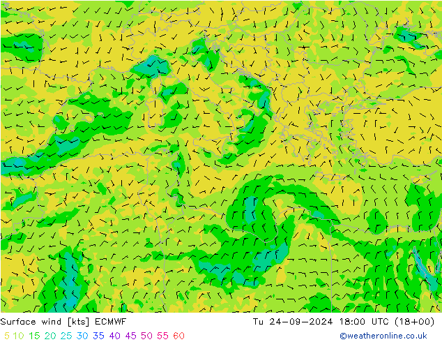 Surface wind ECMWF Tu 24.09.2024 18 UTC