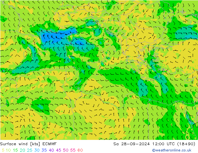 Surface wind ECMWF Sa 28.09.2024 12 UTC