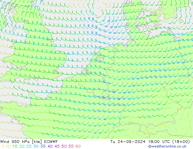 Wind 950 hPa ECMWF Di 24.09.2024 18 UTC