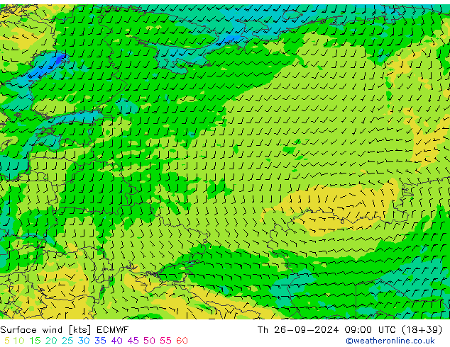 Surface wind ECMWF Th 26.09.2024 09 UTC