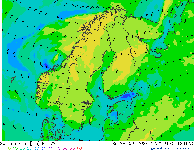 wiatr 10 m ECMWF so. 28.09.2024 12 UTC