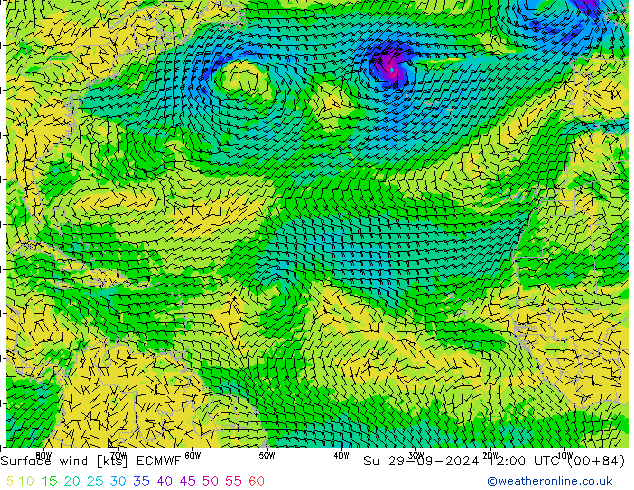 Surface wind ECMWF Su 29.09.2024 12 UTC