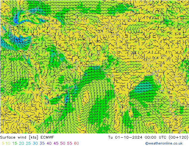 Surface wind ECMWF Tu 01.10.2024 00 UTC