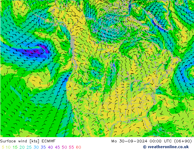 ветер 10 m ECMWF пн 30.09.2024 00 UTC