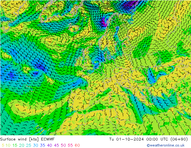 Wind 10 m ECMWF di 01.10.2024 00 UTC