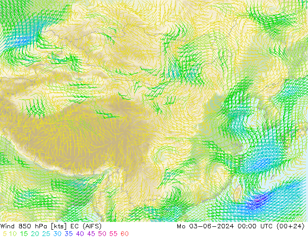 风 850 hPa EC (AIFS) 星期一 03.06.2024 00 UTC