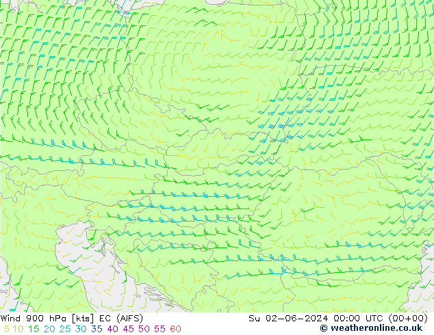 Wind 900 hPa EC (AIFS) Su 02.06.2024 00 UTC