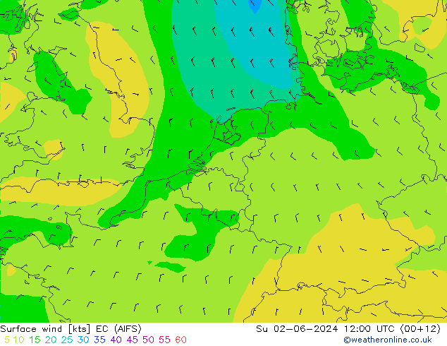 Rüzgar 10 m EC (AIFS) Paz 02.06.2024 12 UTC