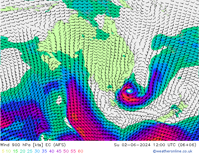 Wind 900 hPa EC (AIFS) Su 02.06.2024 12 UTC