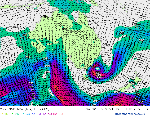 Wind 950 hPa EC (AIFS) zo 02.06.2024 12 UTC