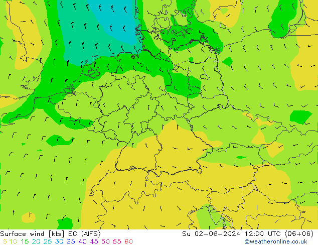 Surface wind EC (AIFS) Su 02.06.2024 12 UTC