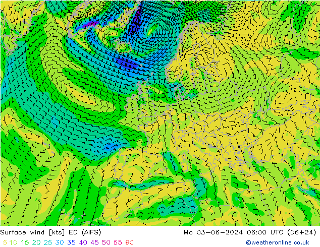 ветер 10 m EC (AIFS) пн 03.06.2024 06 UTC