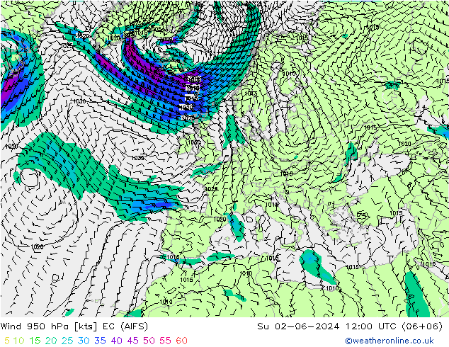 风 950 hPa EC (AIFS) 星期日 02.06.2024 12 UTC