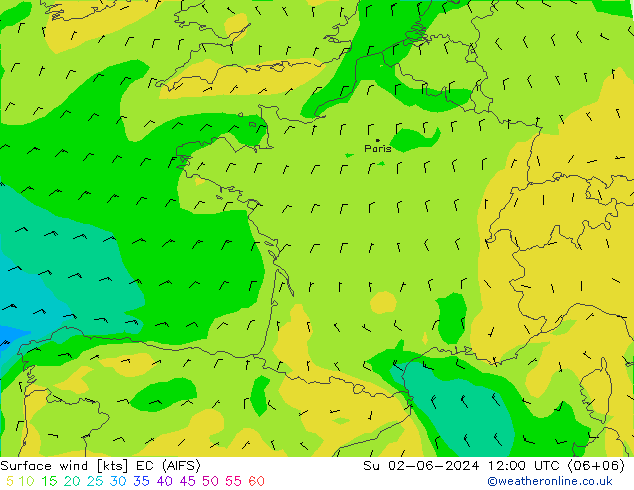  10 m EC (AIFS)  02.06.2024 12 UTC