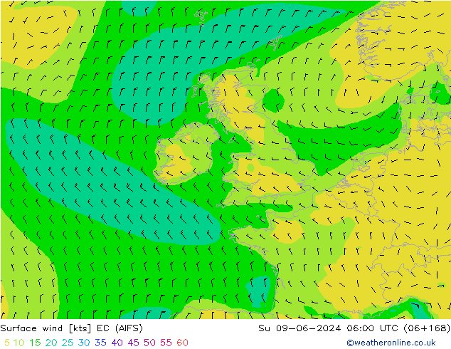 Vent 10 m EC (AIFS) dim 09.06.2024 06 UTC