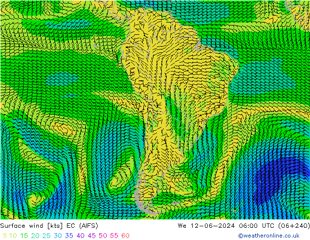 Surface wind EC (AIFS) We 12.06.2024 06 UTC