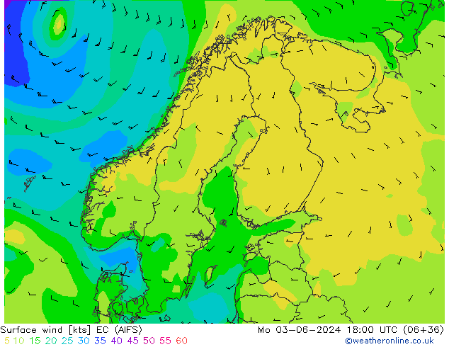 Surface wind EC (AIFS) Po 03.06.2024 18 UTC