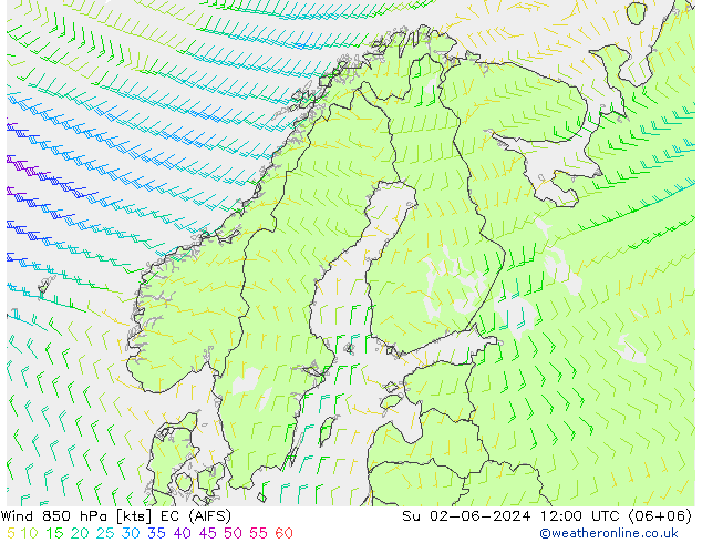 风 850 hPa EC (AIFS) 星期日 02.06.2024 12 UTC