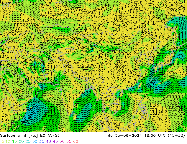 Wind 10 m EC (AIFS) ma 03.06.2024 18 UTC
