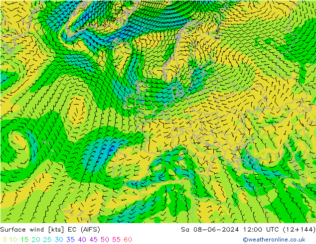 Surface wind EC (AIFS) So 08.06.2024 12 UTC